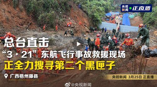 饶平爆料违建事件最新消息,官方调查与整改措施同步进行