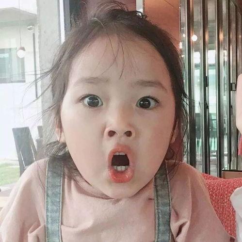 二萌爆料图片大全集最新,揭秘娱乐圈幕后故事