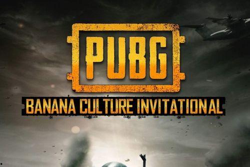 pubg手册爆料最新多少钱,价格狂飙，游戏市场再掀波澜
